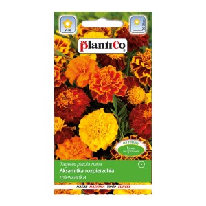 Opakowanie nasion Tagetes patula nana (Aksamitka rozpierzchła mieszanka) z żółtymi i pomarańczowymi kwiatami.