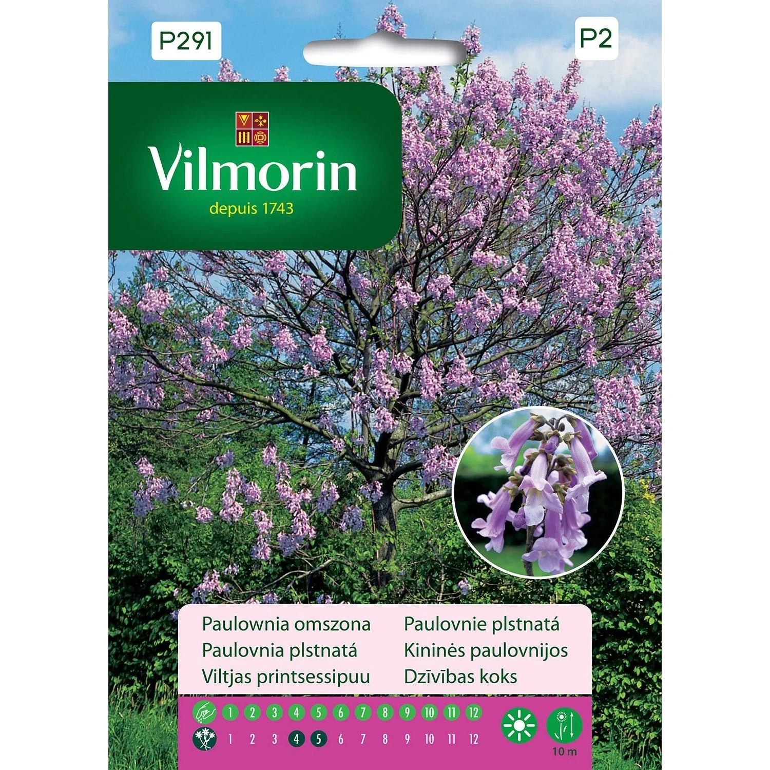 Paulownia omszona - 0,1 g
