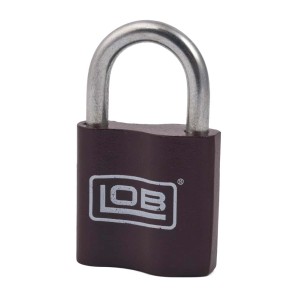 Kłódka t.b.t., brązowa z srebrnym pałąkiem.