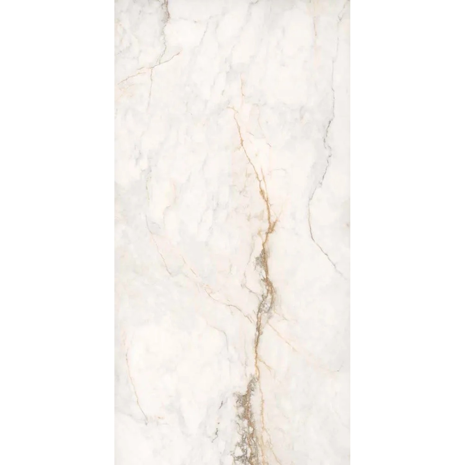 Gres szkliwiony polerowany Eagle 60 x 120 cm