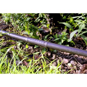 Czarna rura nawadniająca do nawadniania podziemnego w ogrodzie.