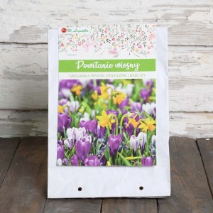 Mieszanka cebulek kwiatowych: krokusy, narcyzy i irysy w papierowej torbie.