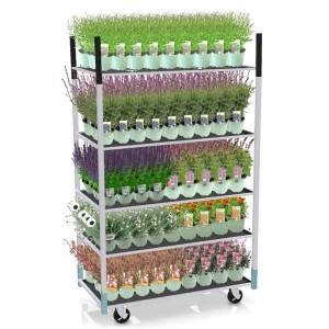 Cieniolubne byliny na wózku z roślinami, różne odmiany.