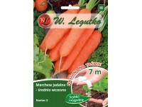 Marchew jadalna Nantes 3 taśma