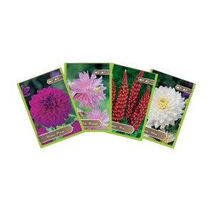 Zestaw cebulek kwiatowych z daliami i łubinami w różnych kolorach.