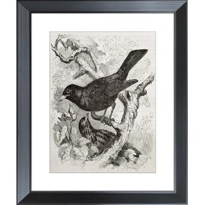 ARS LONGA Obraz BIRDS ON BRANCHES 45 x 55 cm