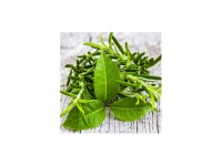 Obraz na szkle PRZYPRAWA 30 cm x 30 cm