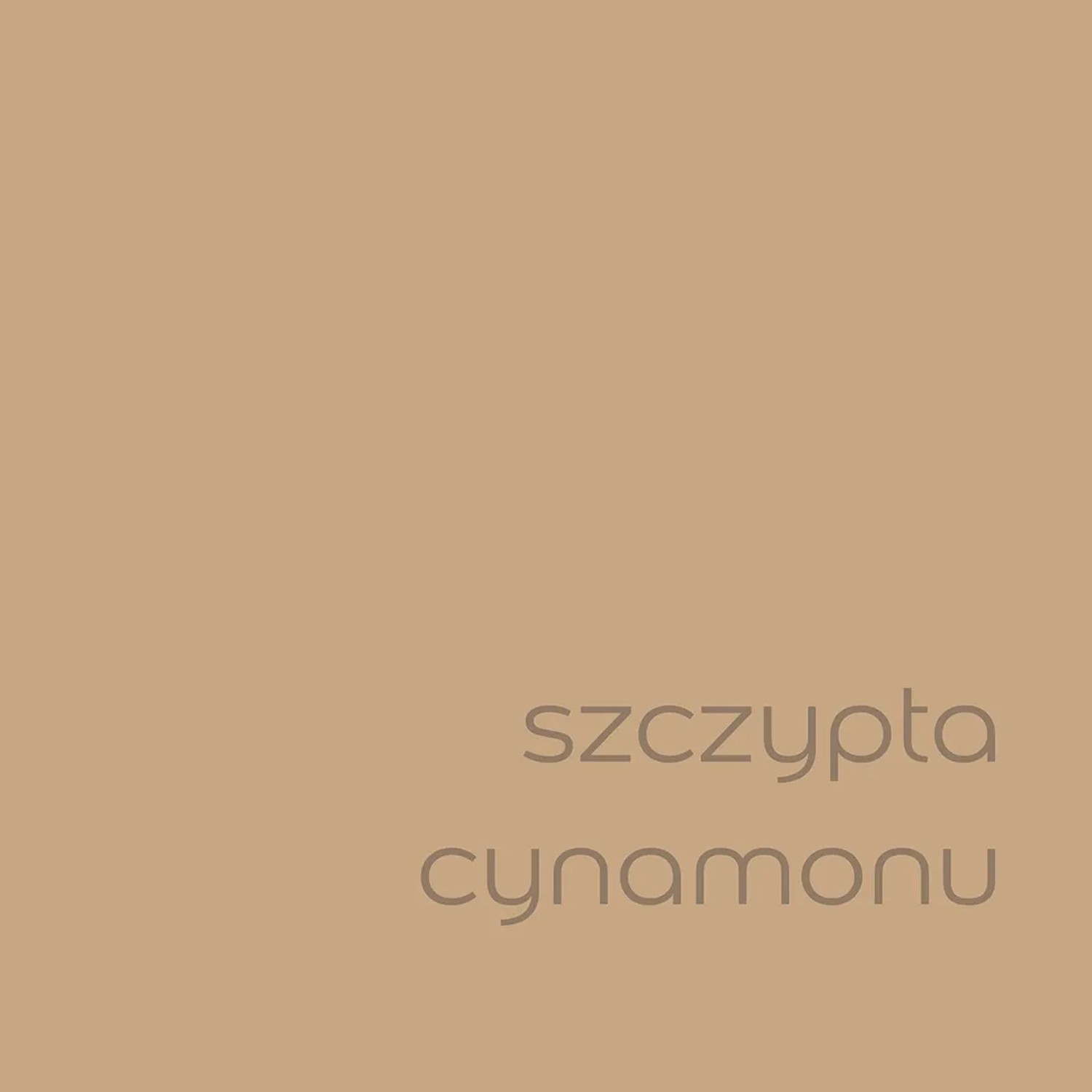 Próbka koloru t.b.t. Cynamon, odpowiednia jako farba do ścian.