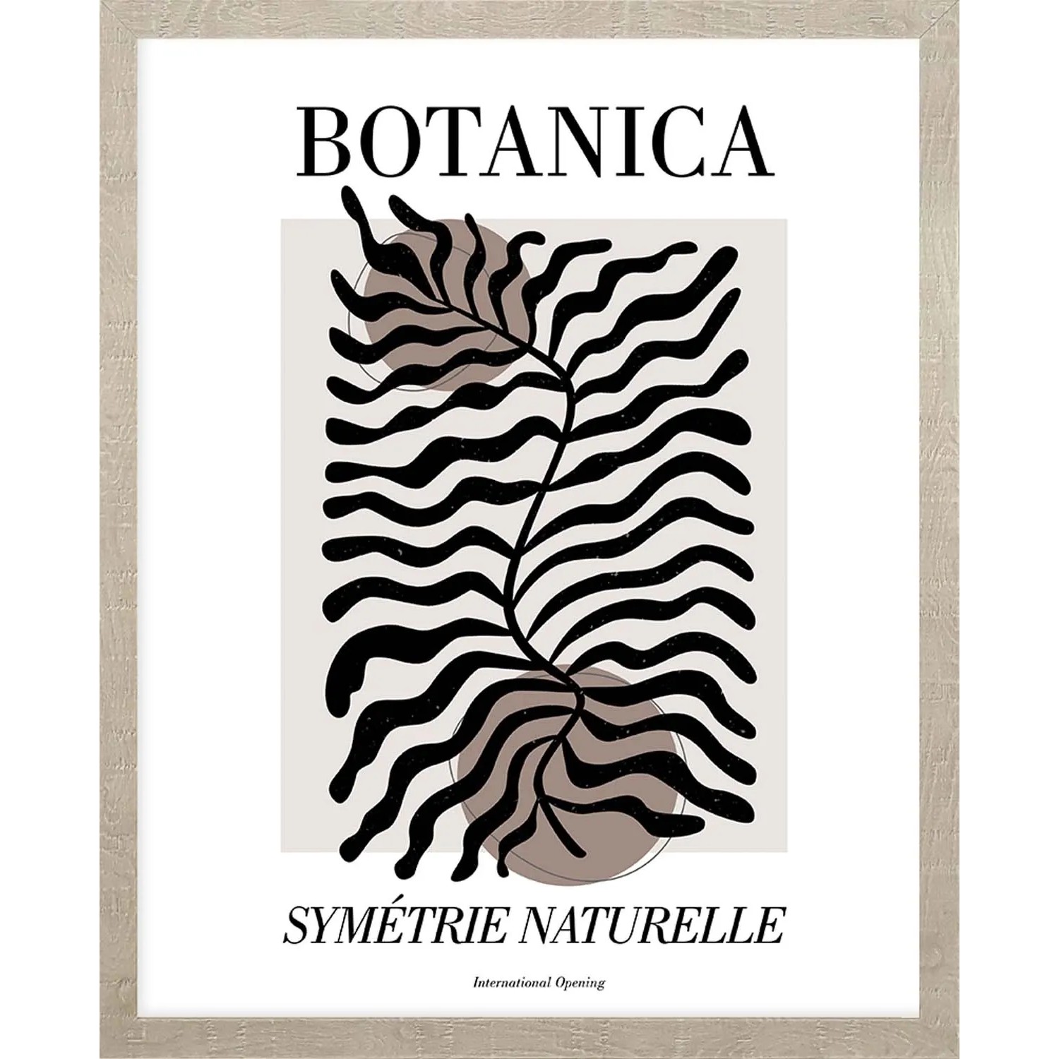ARS LONGA Obraz SEA BOTANICAL ART 43 x 53 cm