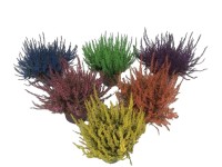 Wrzos barwiony (Calluna vulgaris) don. 11 cm
