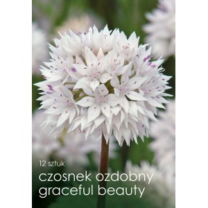 Czosnek ozdobny 'Graceful Beauty' z białymi kwiatami jako roślina cebulowa do ogrodu.
