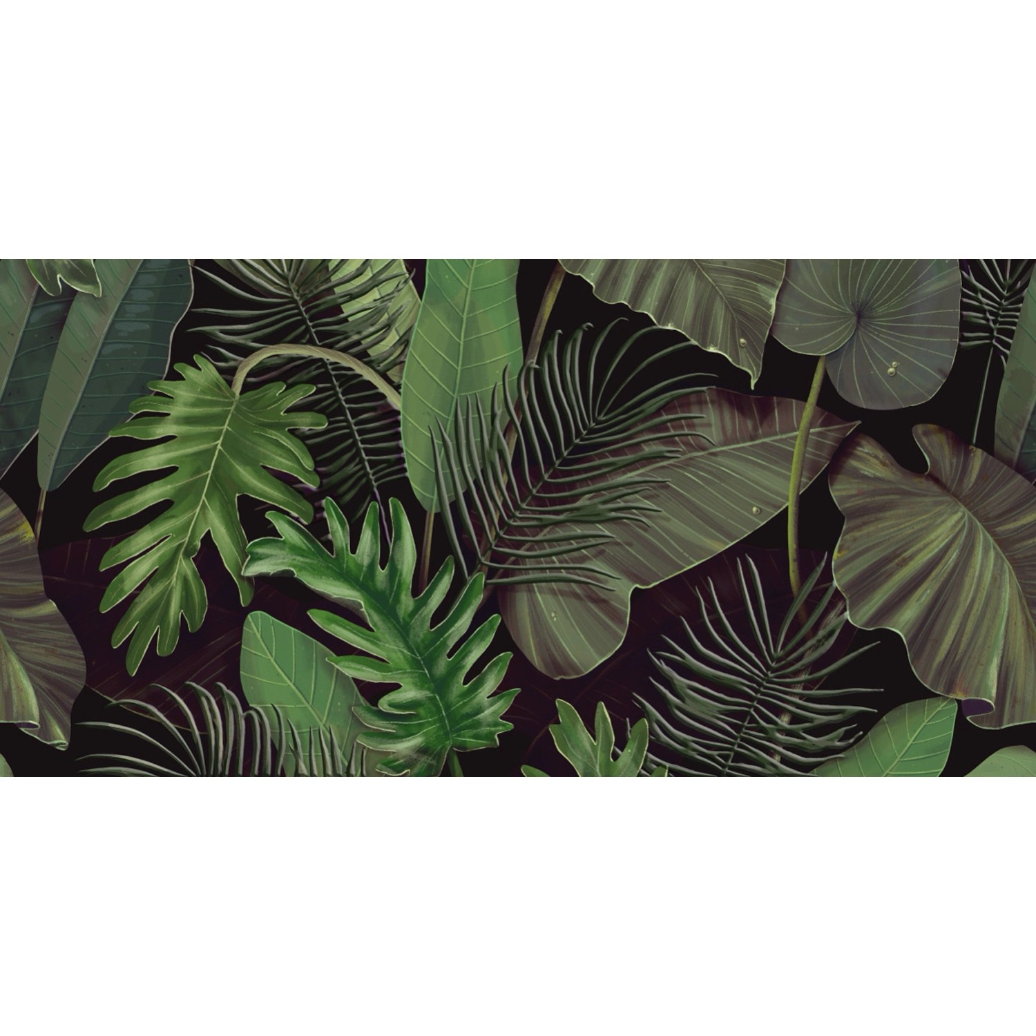 Alfa-Cer Dekor Botanic green B 30 x 60 cm