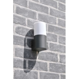 Goldlux Kinkiet ogrodowy DALLAS 1xE27 max. 12W LED grafitowy