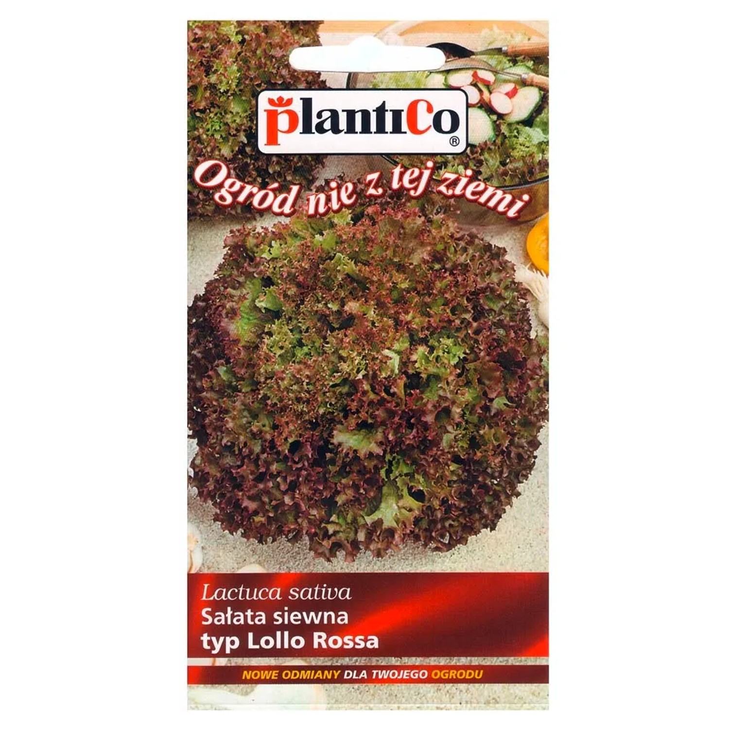 Sałata typ LolloRossa - 0,2 g