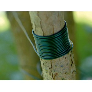Zielona plastikowa taśma do wiązania (25 m) owinięta wokół pnia drzewa.