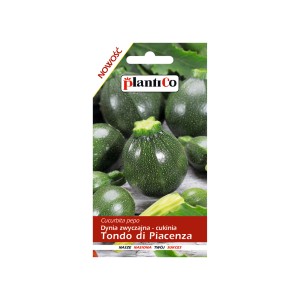 Nasiona cukinii okrągłej 'Tondo di Piacenza'.