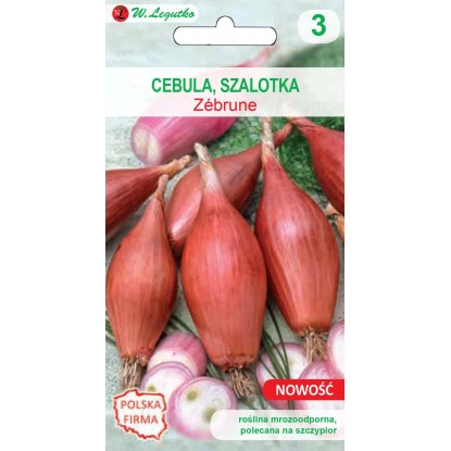 Cebula szalotka Zebrune - 2 g