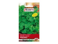 philodendron heartleaf 6'' Philodendron Green main image 1