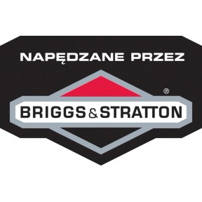Briggs&Stratton logo link
