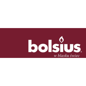 Bolsius logo link
