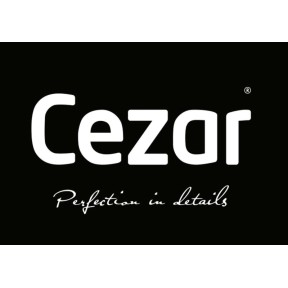 Cezar logo link