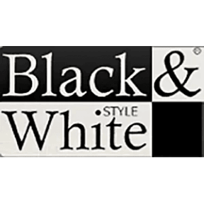 Black and White Style logo link